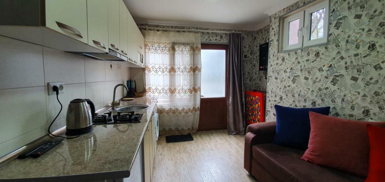 Parkside Apartment Borjomi Ngoại thất bức ảnh